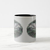 Microthena Spider Orb Web Coordinated Items Zweifarbige Tasse (Mittel)