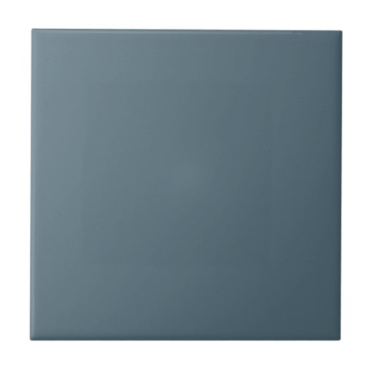 Mid Shade Ash Gray Solid Color Tile Fliese (Vorderseite)