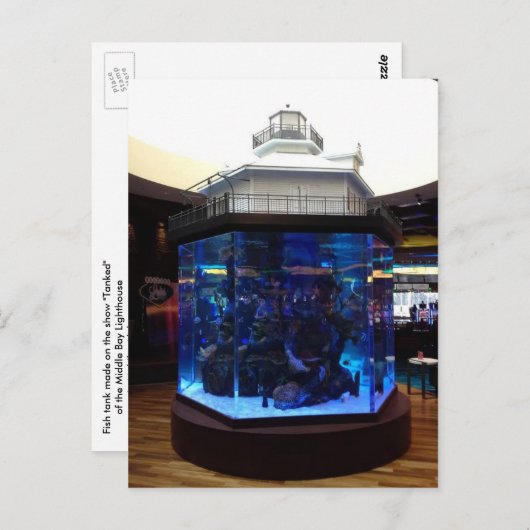 Middle Bay Lighthouse Fish Tank Postkarte (Vorne/Hinten)