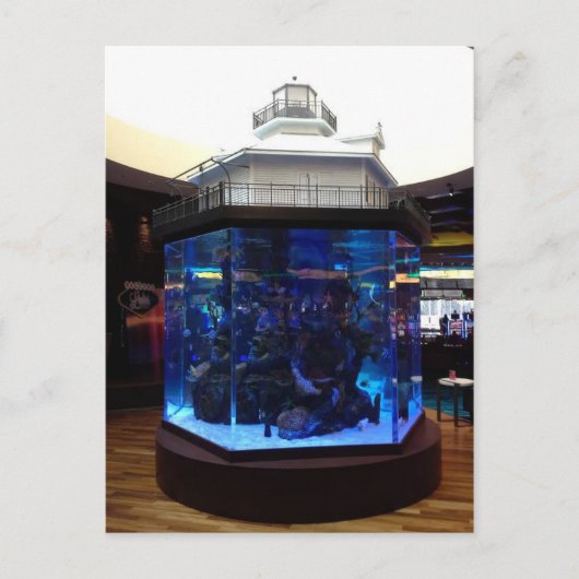 Middle Bay Lighthouse Fish Tank Postkarte (Vorderseite)