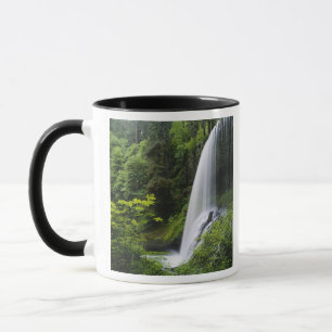 Middle North Falls, Silver Falls State Park, Tasse