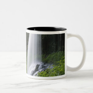 Middle North Falls, Silver Falls State Park, Zweifarbige Tasse