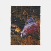 Middle Potato Falls Fleece Decke (Vorderseite)