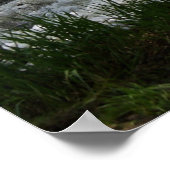 Middlebury Falls in Middlebury, Vermont Poster (Ecke)