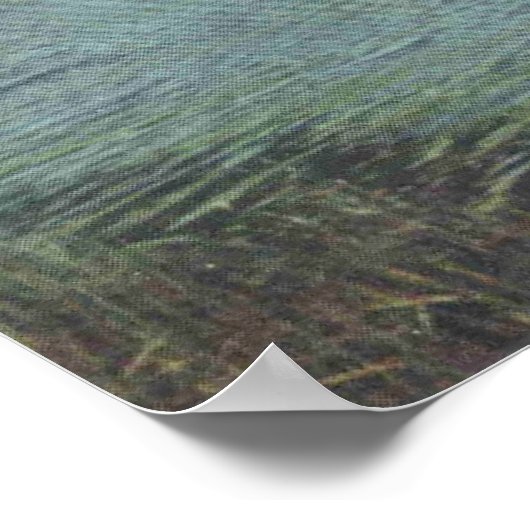 Middletown NY, Midway park, Wallkill River, Old Poster (Ecke)