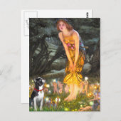 MidEve - Boston Terrier #2 Postkarte (Vorne/Hinten)