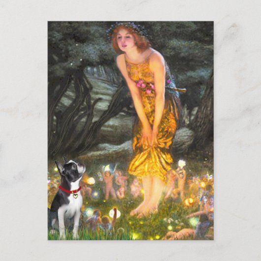 MidEve - Boston Terrier #2 Postkarte (Vorderseite)