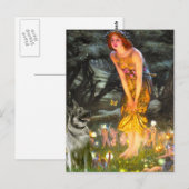 MidEve - Norwegischer Elkhound Postkarte (Vorne/Hinten)