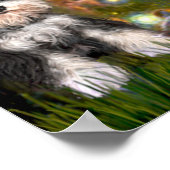 MidEve - Schnauzer (B) Poster (Ecke)