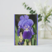 Midinight Iris Floral Postkarte (Stehend Vorderseite)