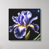 Midnight Bloom Iris Leinwanddruck (Vorderseite)