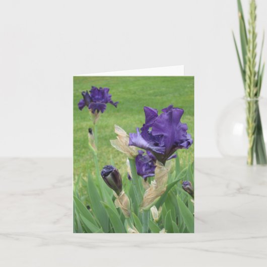 Midnight Blue Iris Small Note Card Karte (Vorderseite)