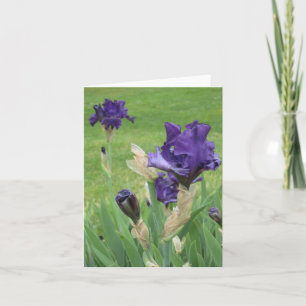 Midnight Blue Iris Small Note Card Karte
