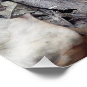 Midnight Cap Fotodruck (Ecke)