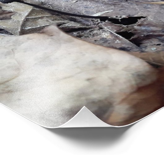 Midnight Cap Fotodruck (Ecke)