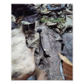 Midnight Cap Fotodruck (Vorne)