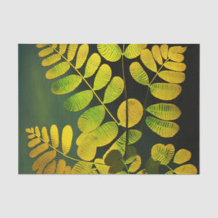 MIDNIGHT FERN-DEcoupage Seidenpapier