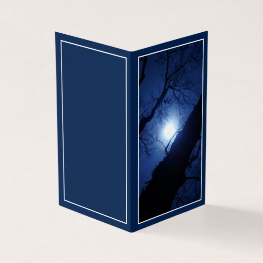 Midnight Full Moon Through Big Tree (Vorderseite)