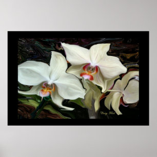 MIDNIGHT MAGIC ORCHID DRUCK POSTER