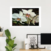 "MIDNIGHT MAGIC" ORCHID PRINT POSTER (Heimbüro)