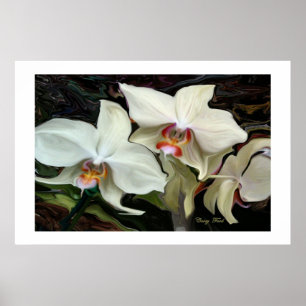 "MIDNIGHT MAGIC" ORCHID PRINT POSTER