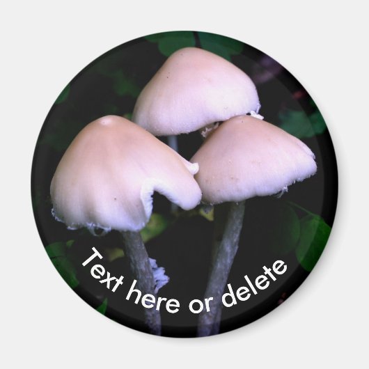 Midnight Mushrooms Nature Personalized Magnet (Vorne)