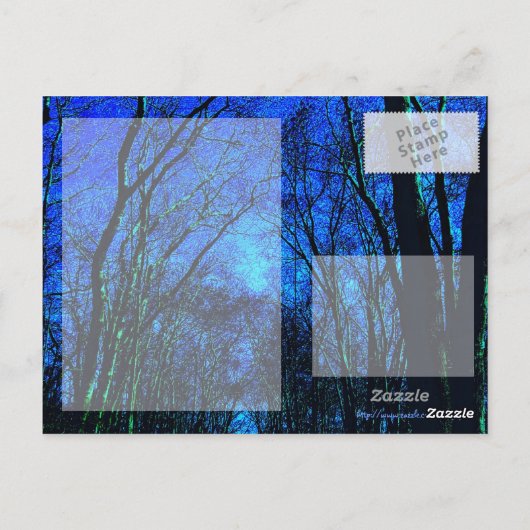 Midnight Path Postcard Postkarte (Rückseite)