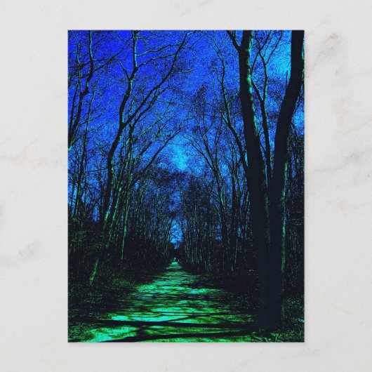 Midnight Path Postcard Postkarte (Vorderseite)