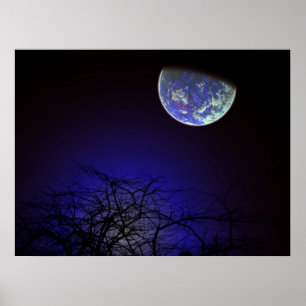 Midnight Poster