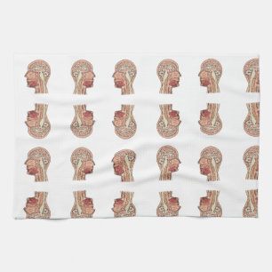 Midsagittaler Gehirnschnitt Geschirrtuch