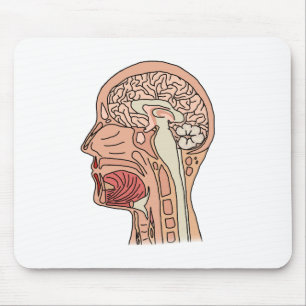 Midsagittaler Gehirnschnitt Mousepad
