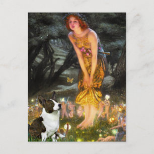 Midsommers Eve - Cardigan Welsh Corgi Postkarte