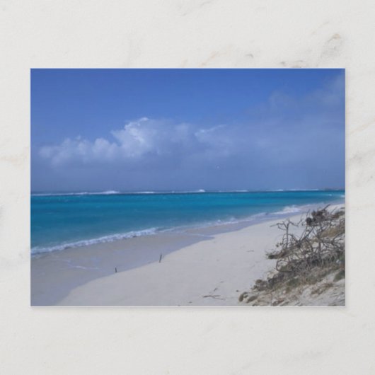 Midway Atoll Beach Postkarte (Vorderseite)
