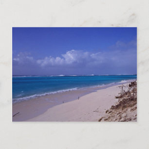 Midway Atoll Strand Postkarte