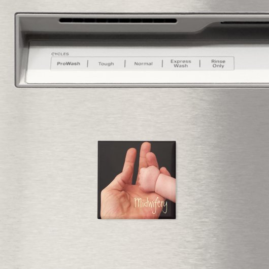 Midwifery Magnet (In Situ (Geschirrspüler))