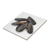 Miesmuschel Fliese (Seite)