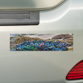 Miesmuscheln Autoaufkleber (Auf Auto)