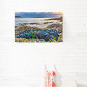 Miesmuscheln Banner (InSitu)