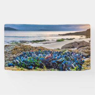 Miesmuscheln Banner