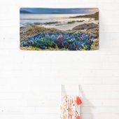 Miesmuscheln Banner (InSitu)
