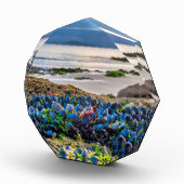 Miesmuscheln Fotoblock (Rechts)
