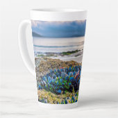 Miesmuscheln Milchtasse (Linke Ecke)