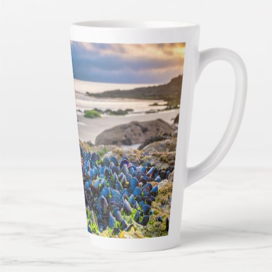 Miesmuscheln Milchtasse (Rechts)