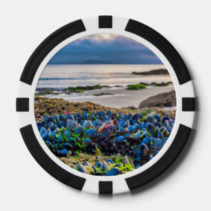 Miesmuscheln Pokerchips