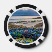 Miesmuscheln Pokerchips (Rückseite)