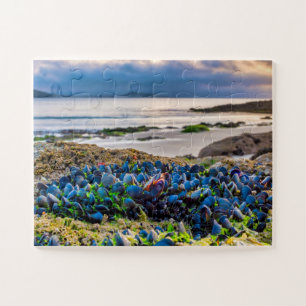 Miesmuscheln Puzzle