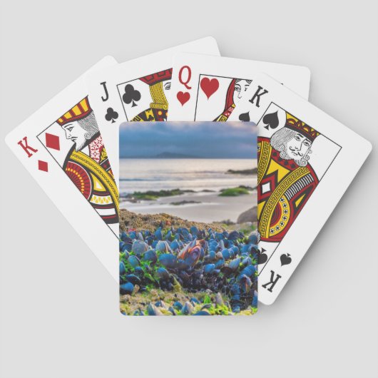 Miesmuscheln Spielkarten (Rückseite)