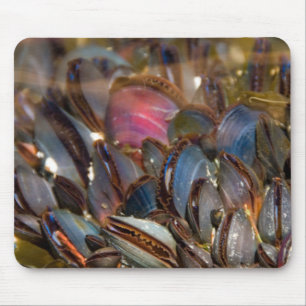 Miesmuscheln unter dem Ozean Mousepad