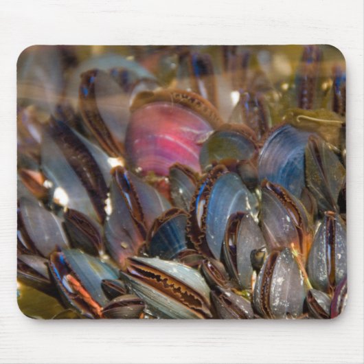 Miesmuscheln unter dem Ozean Mousepad (Vorne)