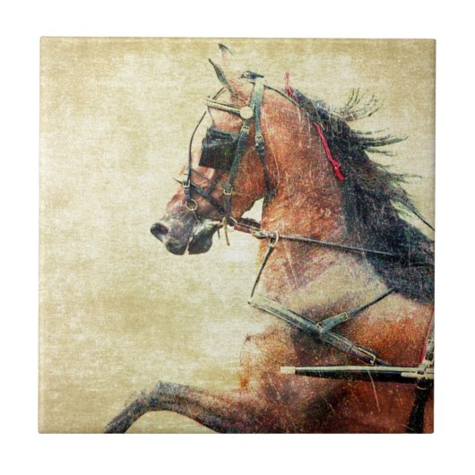 Mietpferd-Pony Fliese (Vorderseite)